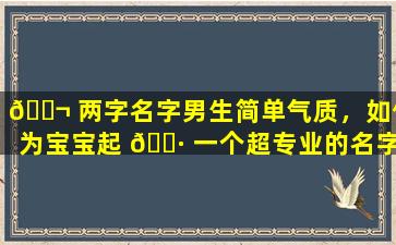 🐬 两字名字男生简单气质，如何为宝宝起 🌷 一个超专业的名字